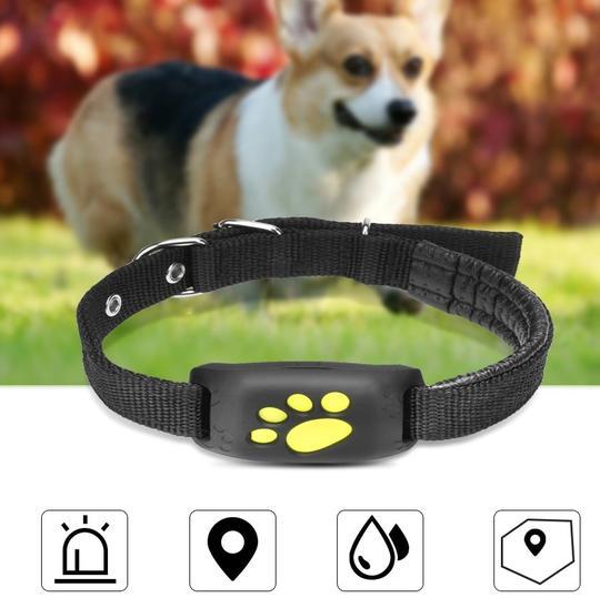 📍 Advanced GPS Pet Tracker – Keep Your Furry Friend Safe Anytime, Anywhere! 🐾📡