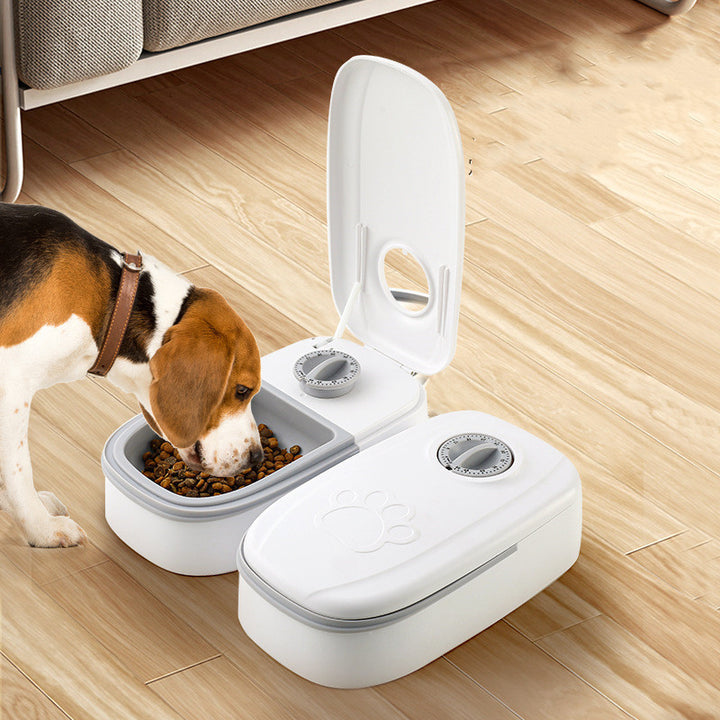 Automatic Pet Feeder &amp; Water Dispenser – Smart Feeding, Happy Pets!